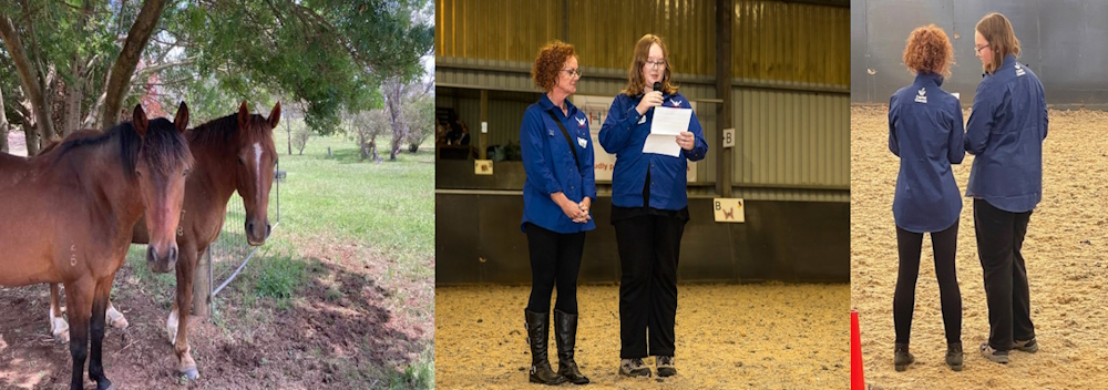 Community Partner Pegasus